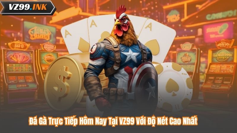 Đá Gà Trực Tiếp Hôm Nay Tại VZ99 Với Độ Nét Cao Nhất