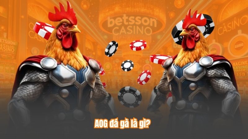 AOG Đá Gà – Sảnh Cá Cược Hàng Đầu, Nơi Hội Tụ Đam Mê 6 AOG đá gà là gì?