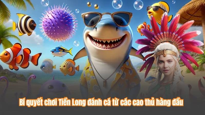 Tiền Long Đánh Cá – Trò Chơi Cá Cược Hot Nhất Năm 2025 4 Bí quyết chơi Tiền Long đánh cá từ các cao thủ hàng đầu