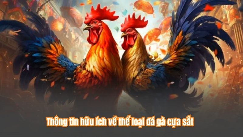 Đá gà cựa sắt là gì? Hướng dẫn cách xem chi tiết 7 Thông tin hữu ích về thể loại đá gà cựa sắt