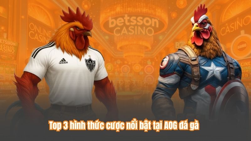 AOG Đá Gà – Sảnh Cá Cược Hàng Đầu, Nơi Hội Tụ Đam Mê 8 Top 3 hình thức cược nổi bật tại AOG đá gà