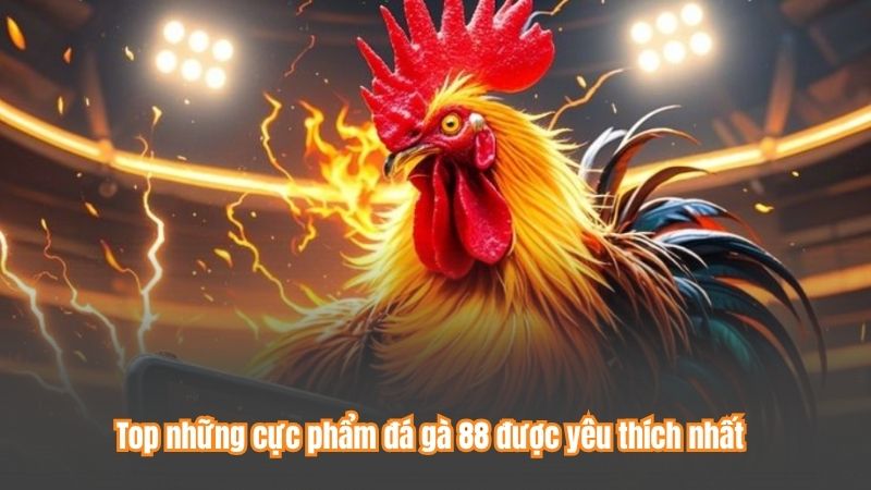 Top những cực phẩm đá gà 88 được yêu thích nhất